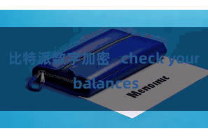 比特派数字加密 check your balances