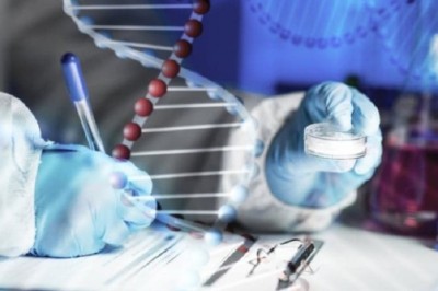 Incredible Discovery: Unveiling Ancient Frozen Artifacts in Remote Cave | The Clip Funny