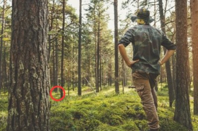 "Epic Fall: The McAllens' Fortune Crumbles Amidst High-Stakes Gamble"