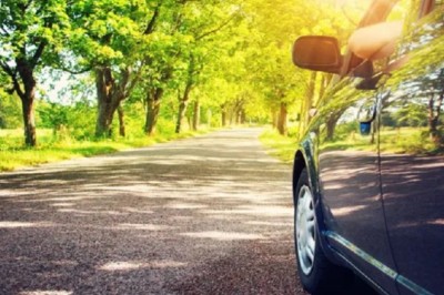 Heartwarming Reunion and Unforgettable Discovery - You Won't Believe What They Found!