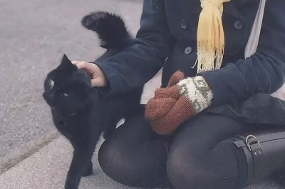 A Puzzling Encounter: Missy's Sink Dilemma Unveils a Sinister Mystery