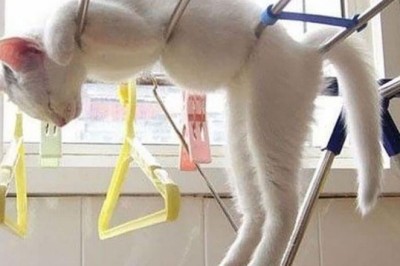 Unbelievable Sleep Positions: These Photos Will Amaze You!