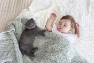 "Unmasking a Secret Spy: The Incredible Story of Luna and the International Espionage Plot"