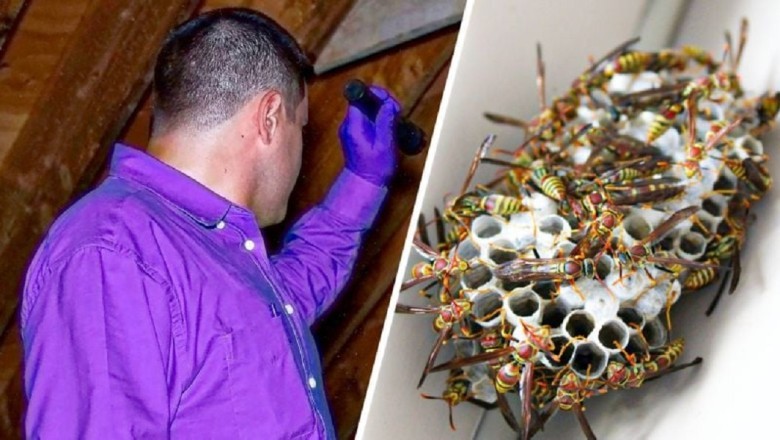 Letting Go: A Story of Sentimental Value and Moving Forward