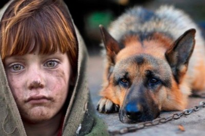 The Baron's Gift: A Tale of Unbreakable Friendship and Gratitude