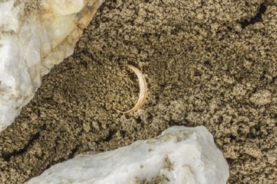 Astonishing Discovery on the Beach: Woman Uncovers Diamond Ring and Jeweller's Shocking Reaction