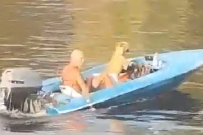 Captain Canine: A Hilarious Adventure of a Dog at the Helm!