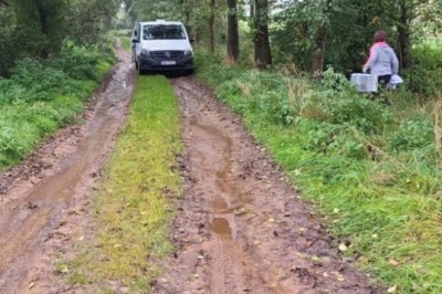 Heartbreaking Discovery in Thuringia Leaves a Woman in Distress: Two Abandoned Kittens Found During an Excursion