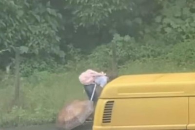 Heartwarming Act of Kindness: Girl Protects Injured Dog from Rain on Her Way Home from School