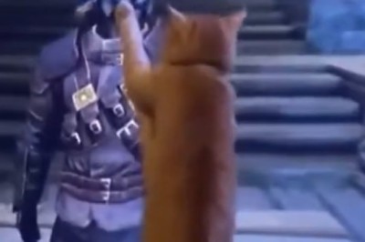 Pawsitively Purrfect: Funny Cat Jokes That Will Make You LOL!