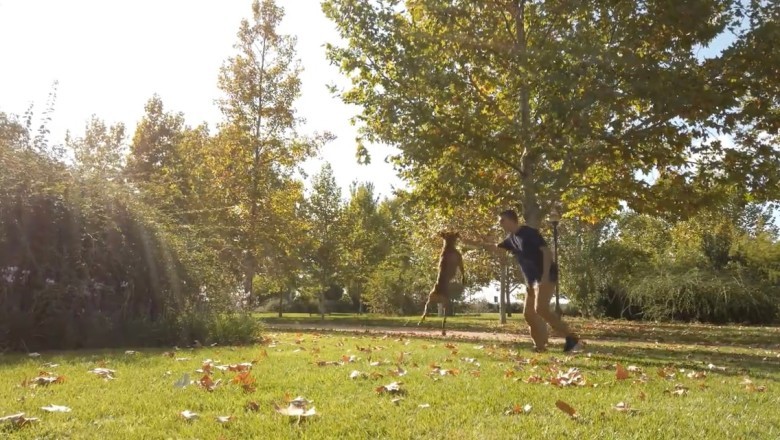 Hilarious Dog Training Fails That Will Make You Laugh Out Loud!