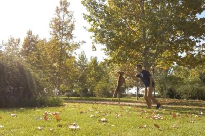 Hilarious Dog Training Fails That Will Make You Laugh Out Loud!