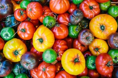 Unveiling the Secrets of the Italian Diet: Why Do Italians Live Longer?