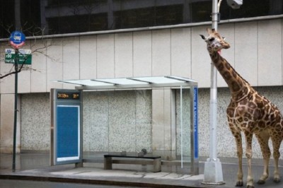 29 Astonishing Ways the World Would Change if Humans Disappeared