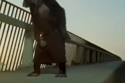 Monkey Takes Justice into its Own Hands! Watch as a Clever Primate Teaches a Thief a Lesson!