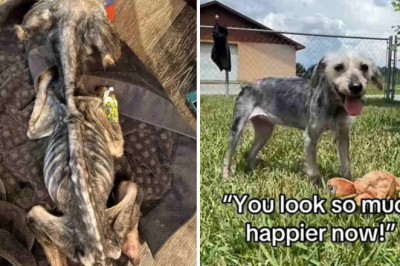 We Didn't Think She Would Make It