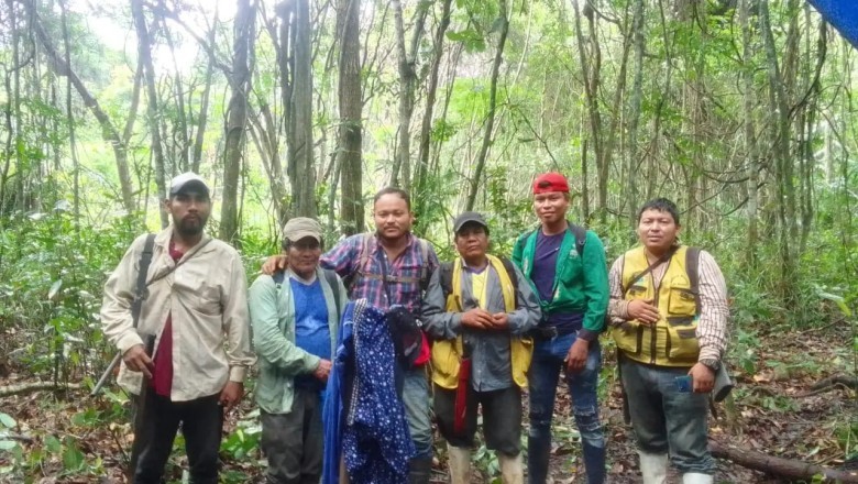 Lost in the Amazon: A Journey of Resilience and Hope