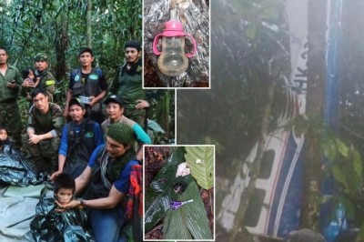 Lost in the Amazon: A Journey of Resilience and Hope