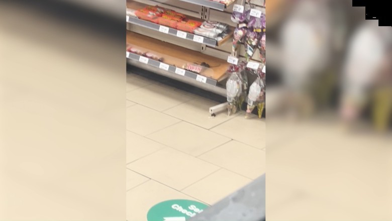 Midnight Mice Take Over! Snack Attack at 7-Eleven!