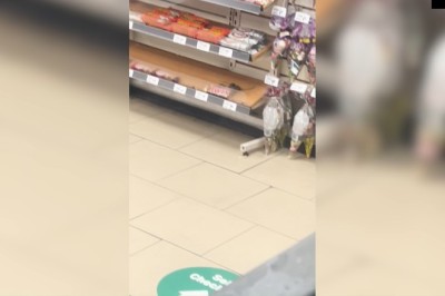 Midnight Mice Take Over! Snack Attack at 7-Eleven!