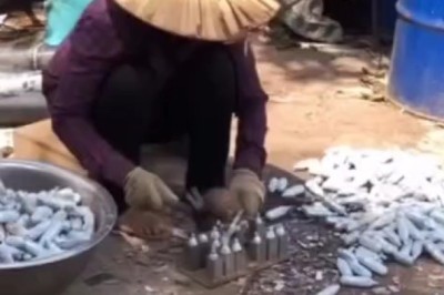 Catch of the Future: Innovative Fishing Techniques from Vietnam!
