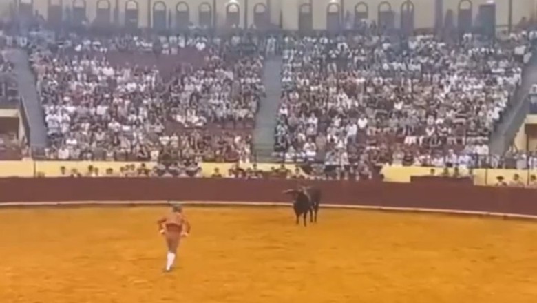 Tragic Turn: Young Bullfighter Fatally Injured During Debut Performance!