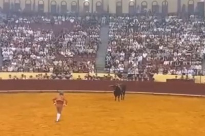 Tragic Turn: Young Bullfighter Fatally Injured During Debut Performance!